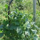 혜림농장 이미지