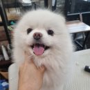 오도독뽀도독 이미지