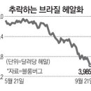 브라질 헤알화 `폭삭` 이미지