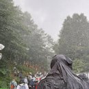 와봐가라오케 | Fuji Rock Festival 2025 첫 후지락 페스티벌 후기 - 3일차(2) 폭우, 가라오케, 야마시타 타츠로