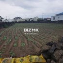 해드림부동산공인중개사무소 이미지