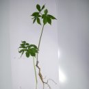 종합운동장역 4번출구 이미지