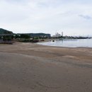 해빈발전소 | 2023년 제주자연의벗 해안사구 조사 후기 3.(by 나비할망)