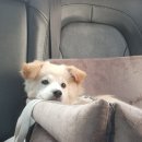 석성로301번길 이미지