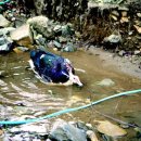 방천2리 이미지