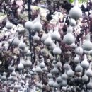 우리화원 이미지