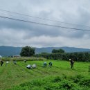 따순농장 이미지