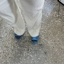 대삼사