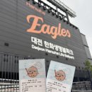 GS25방이진실점 | 드디어 나도 홈구장 가봤다 🦅 대전 한화생명볼파크 411구역