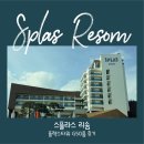 예산게임장 | 아이랑·대가족 모두 만족했던 스플라스 리솜 플레스타워 G50 💙