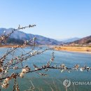 섬진강협동조합