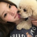 쮸 네이버블로그
