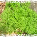 전호농장 이미지