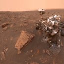 큐리오시티 이미지