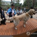 웅천동-농업기술센터