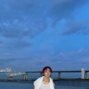 위링크