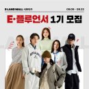 몰 데일리안