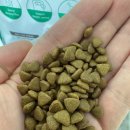 마이펫푸드 | 고양이 건식 사료 씹으면서 살 빼는 고단백 마이펫닥터 사료 후기