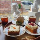 88파운드 이미지