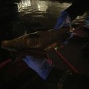 슈퍼붕 낚시카페 이미지