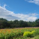 5단지 연합상가 | 2025인천환경운동연합 생태교실 후기 및 수료식 (25/11/15)