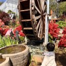 파인트리하우스 | 계양구 아라뱃길 야외정원으로 아기랑 나들이 가기 좋은 파인트리하우스