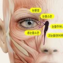 봄의약속안과의원 이미지