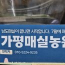 르메이에르 청평빌라 일대 네이버블로그
