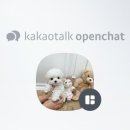 엘린퍼피 이미지