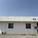 팽성송화로 | 평택 레스토랑, 기념일 방문 추천 팽성 쏘뇨 후기