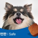 새빛약국 이미지