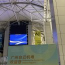 369 | 중국 광저우행 OZ369 후기