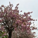 미사경정공원 이미지