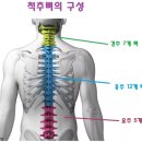 마디마디힘찬한의원 앞 | 20대 여성 허리디스크 진단 후 재활운동 후기 [단원구 고잔동 재활pt]
