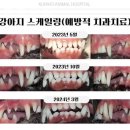 금호동물병원 이미지