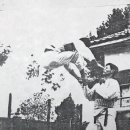 훌륭한 태권도 이미지