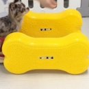 메리펫 애견유치원 이미지