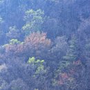 소원보건지소 이미지