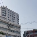 통기타 입문기 이미지