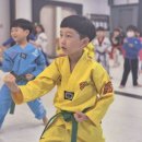 국가대표 라이온 태권도장 이미지