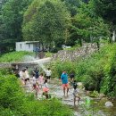 돌고개늘품 이미지