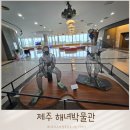 제주 해녀박물관 아이랑 다녀온 솔직 후기