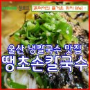 땡초손칼국수 이미지