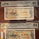 어제 재미교포분에게서 새 식구를 입양했습니다. 이미지