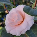 광동농장 이미지