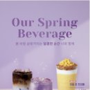 매머드커피강남대로점
