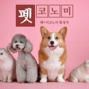 펫코노미 이미지