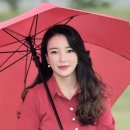 샤플리에스테틱 네이버블로그