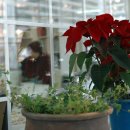 상화유치원 이미지