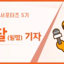 서인공원 이미지